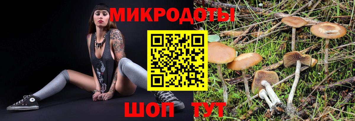 Псилоцибиновые грибы Magic Shrooms  Вход с VPN  Зерноград 
