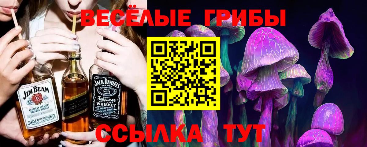 Галлюциногенные грибы прущие грибы Зерноград